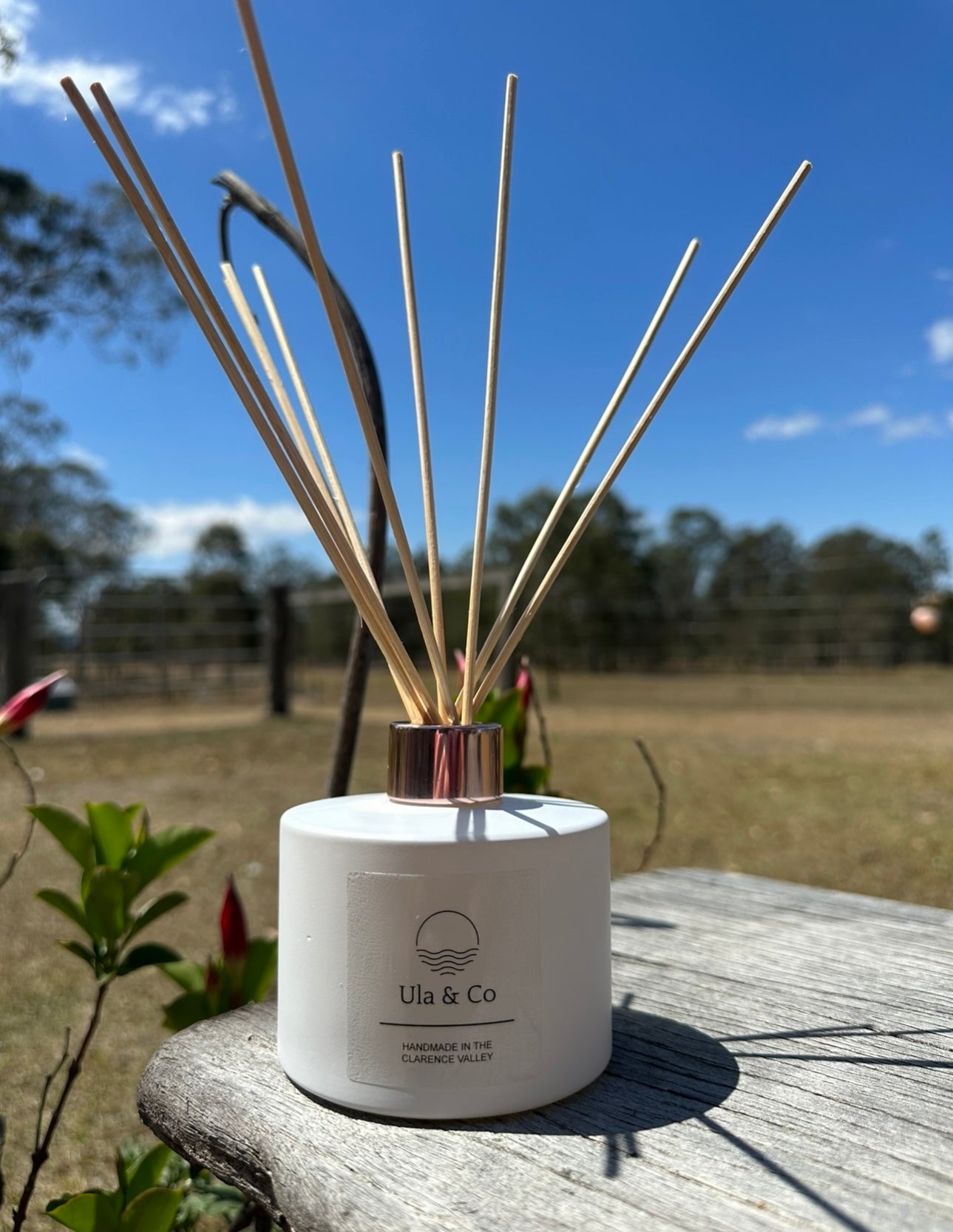 Reed Diffuser